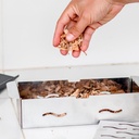 Caja ahumadora inox